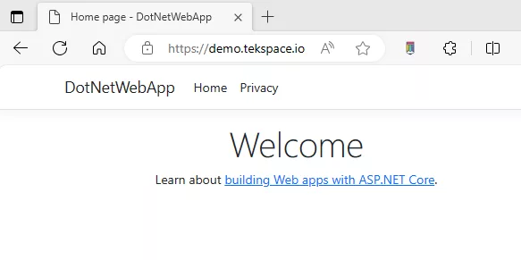 asp.net webapp ui page screenshot from nginx server