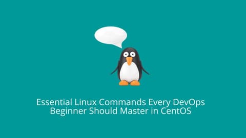 Master essential Linux commands in CentOS for DevOps beginners.