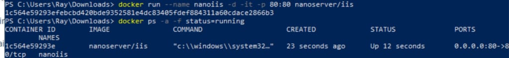 docker-iis-nanoserver-for-windows-container-status